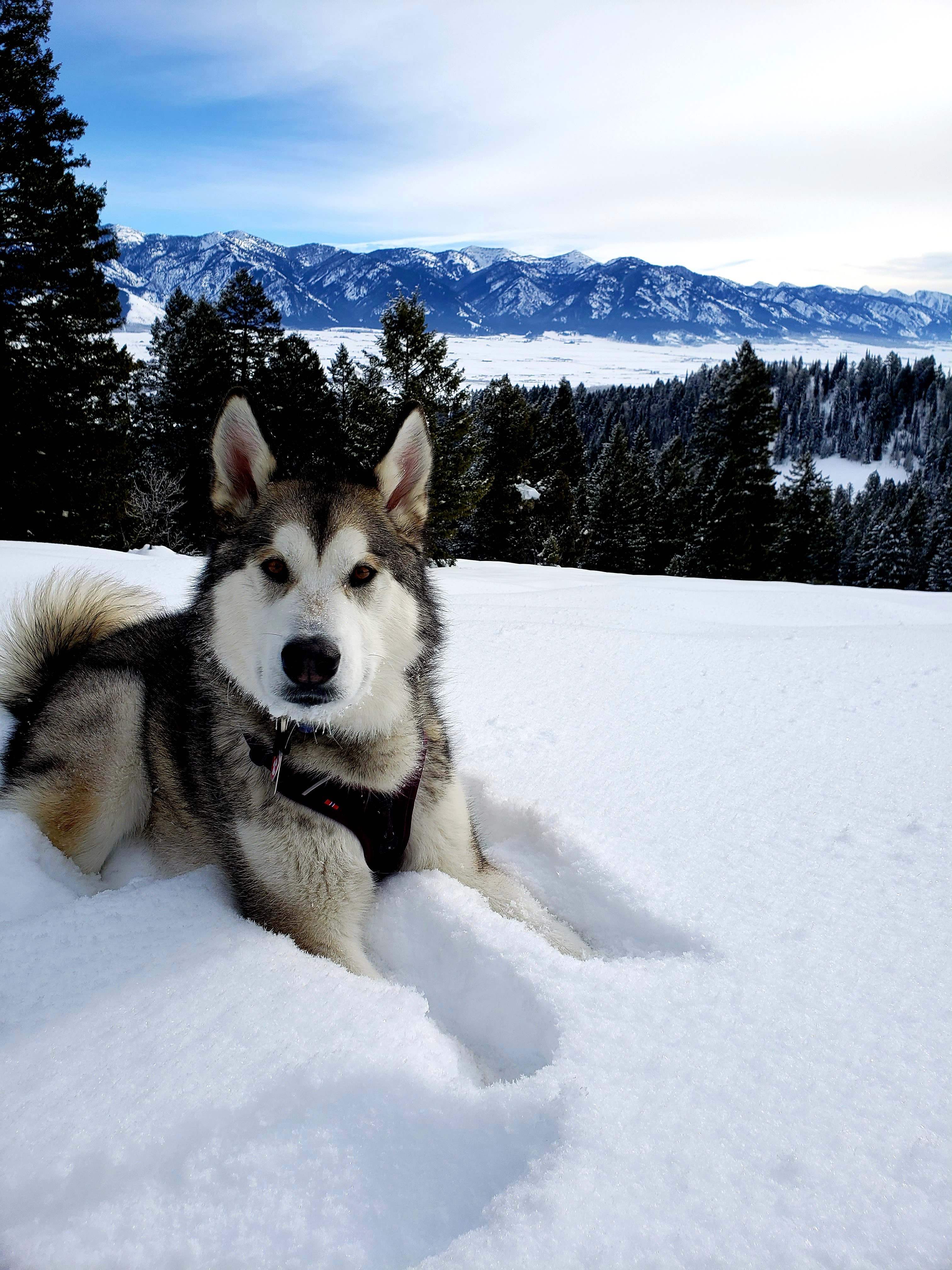 20220126_110716.jpeg