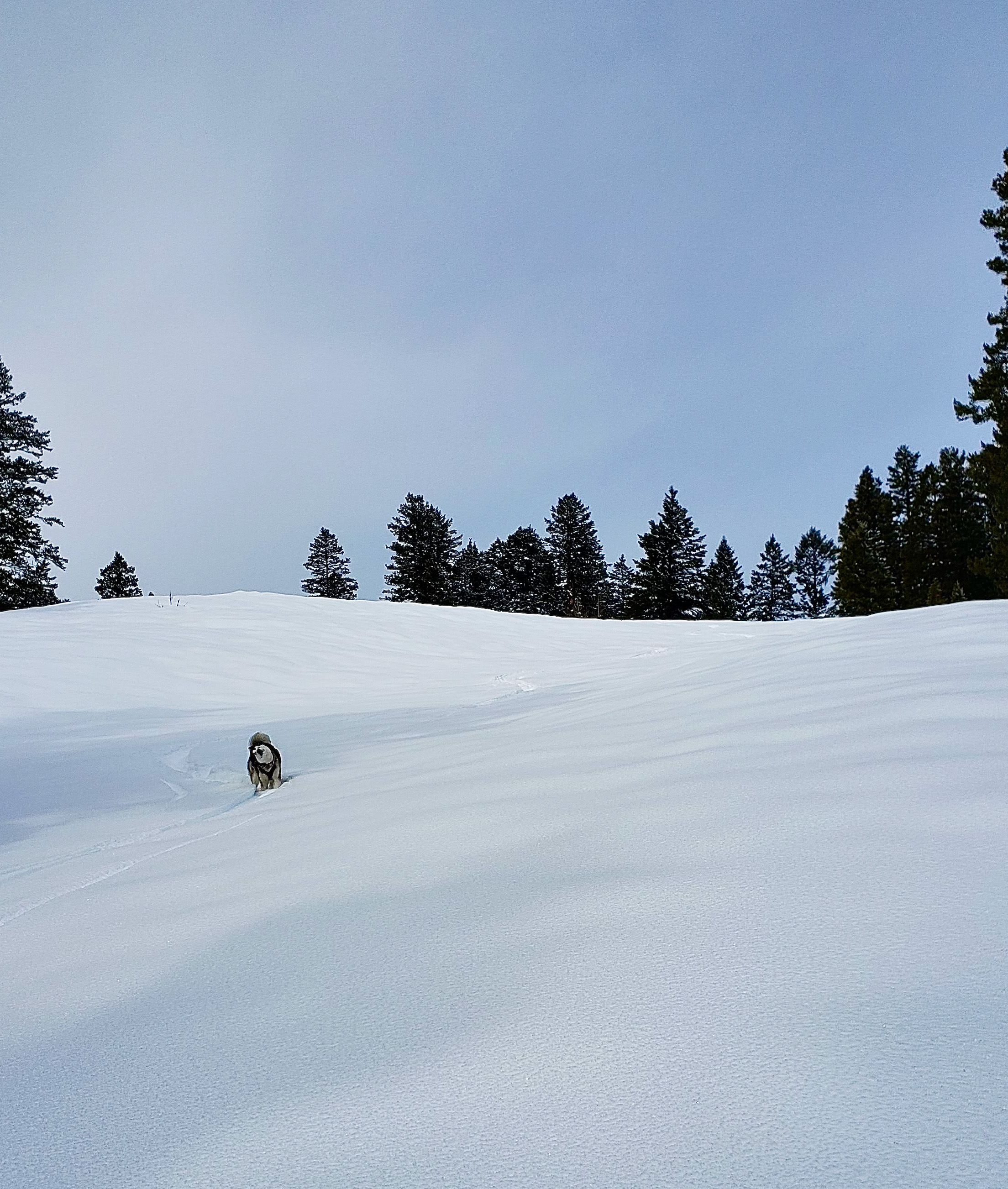 20220126_111520.jpeg