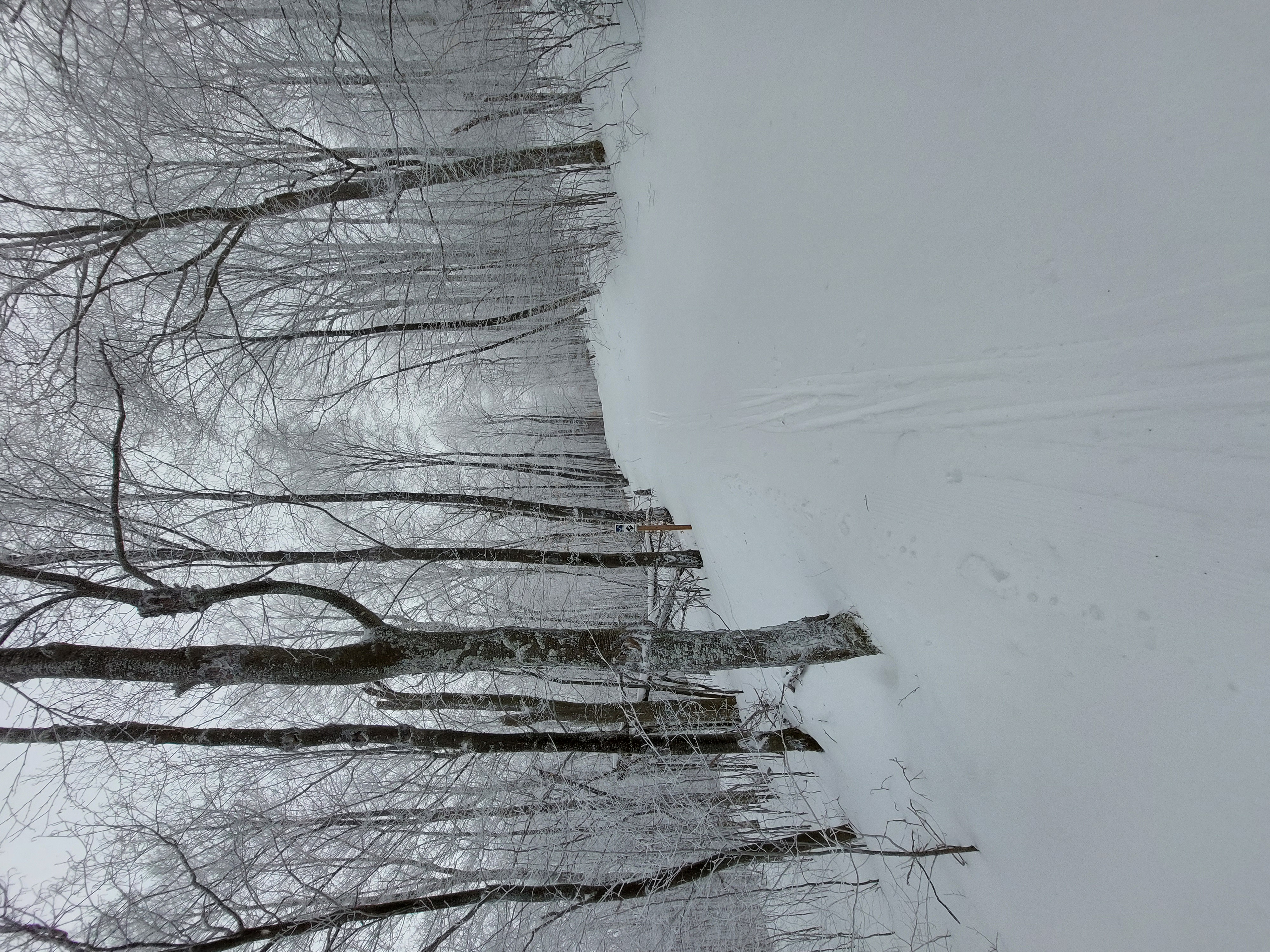 20220118_100447.jpg
