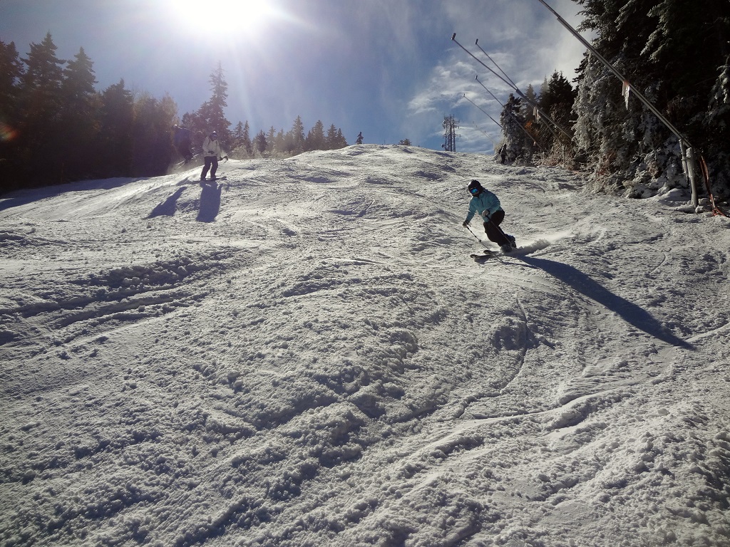 DSC07513_1024.jpg