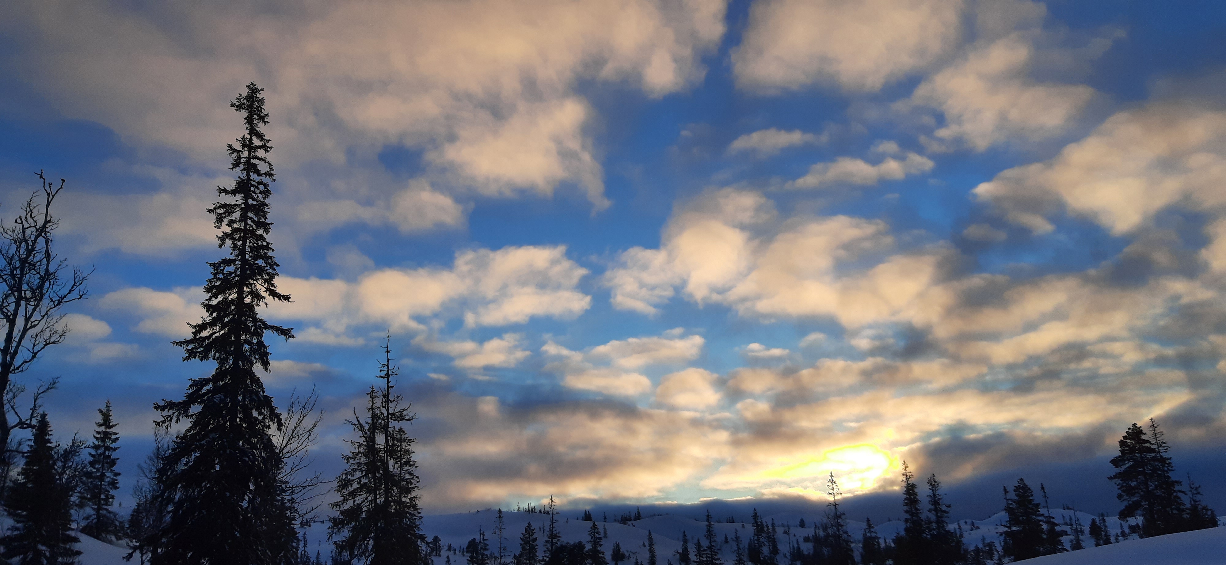 20220303_170140.jpg