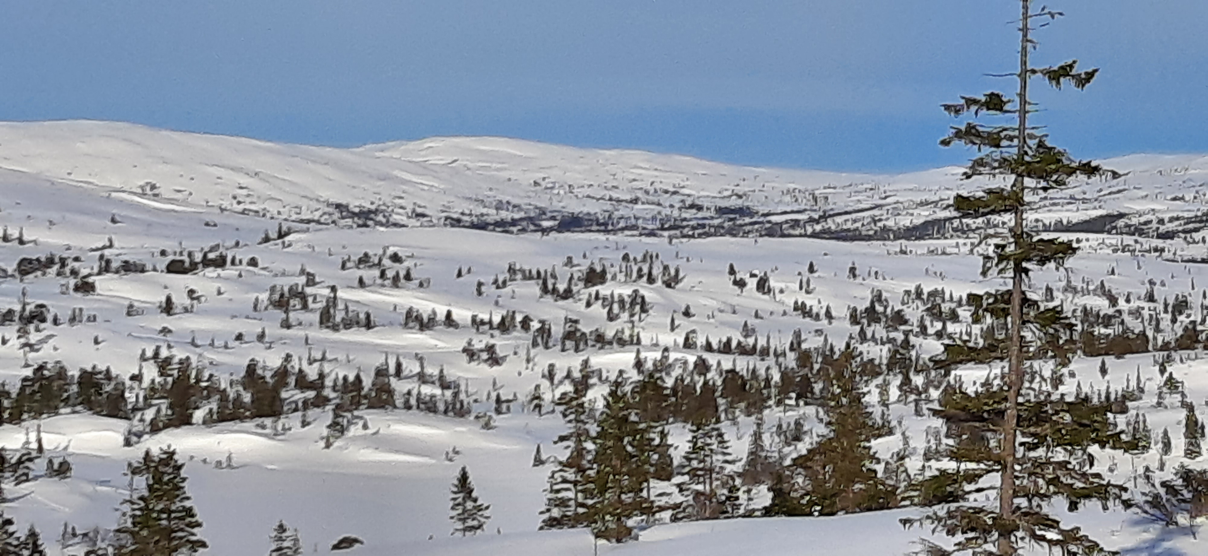 20220304_094755.jpg