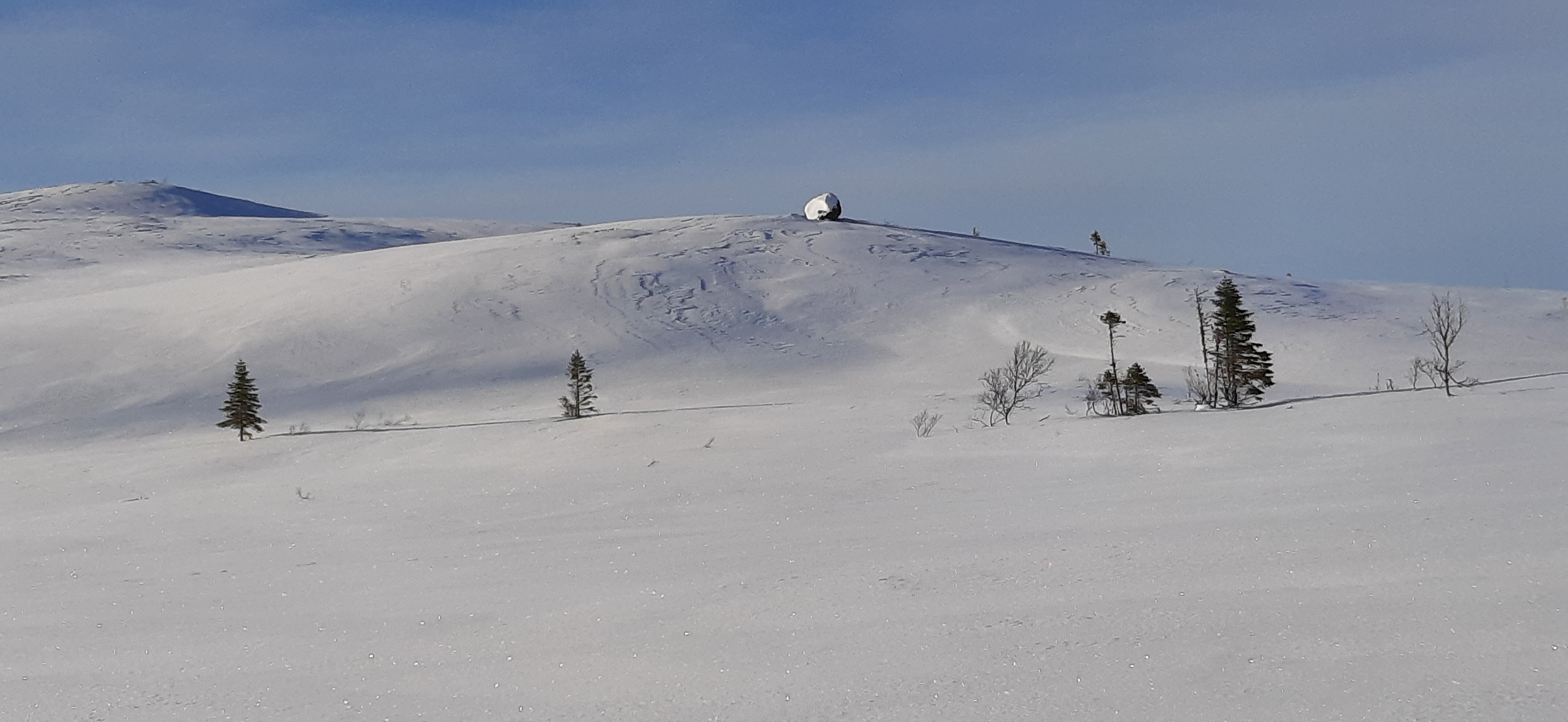 20220304_095536.jpg