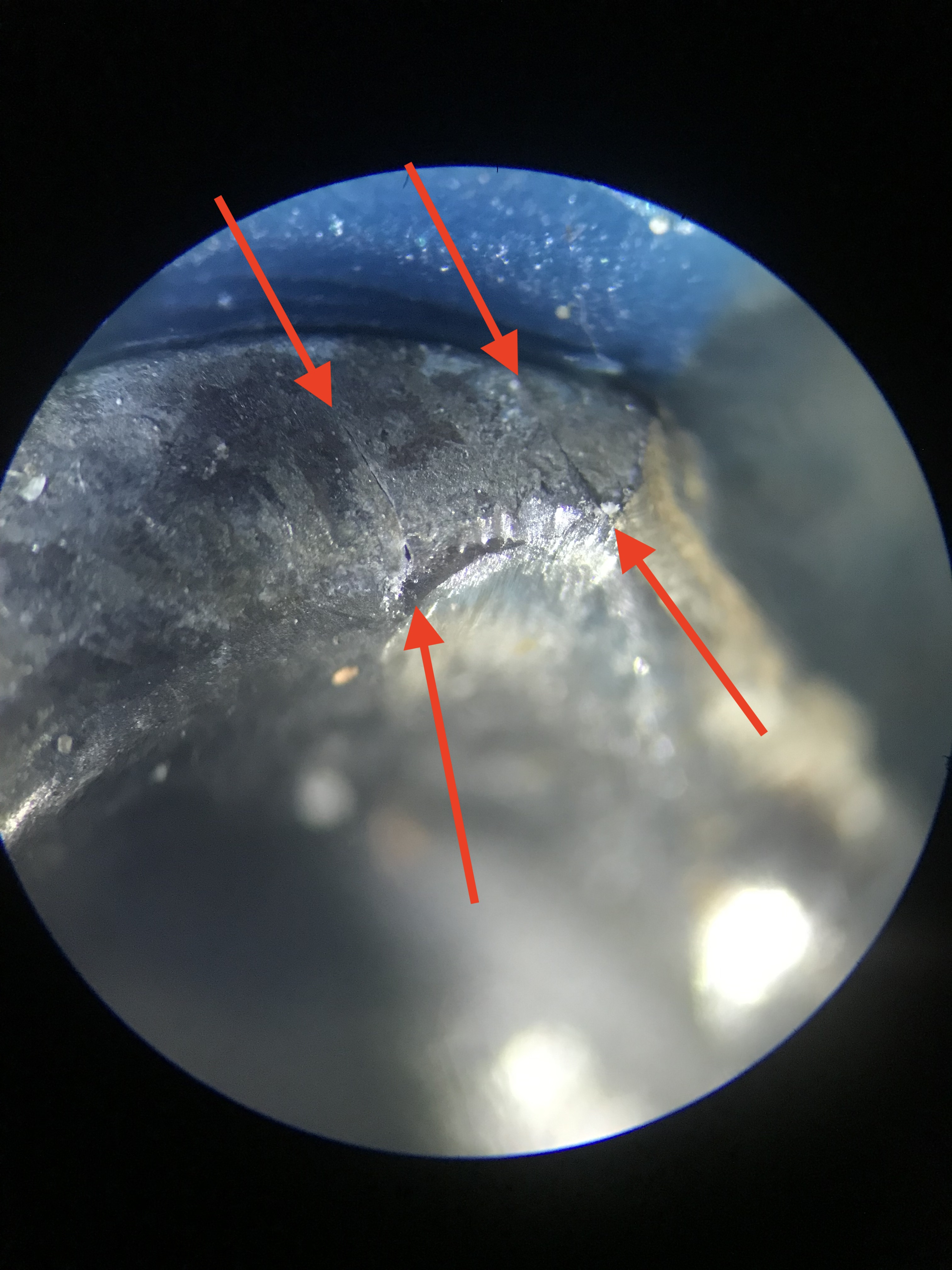 Scarpa insert cracks zoom rear cracks zoom 3.jpg