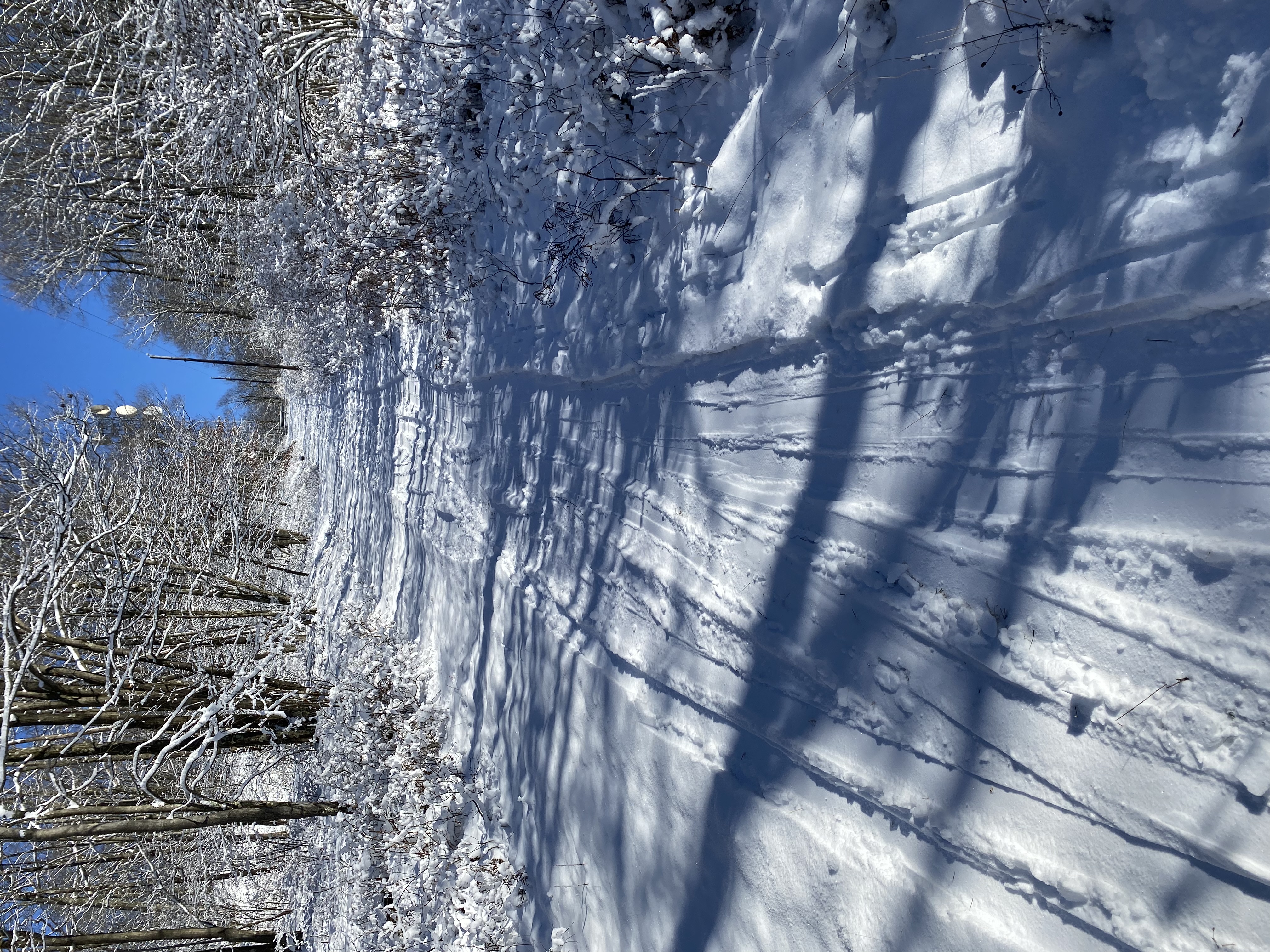AA83ED40-26D5-4508-A8DF-A214F37E63C0.jpeg