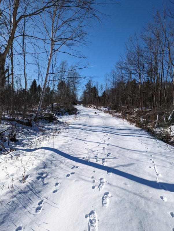 PXL_20230108_152444678.jpg