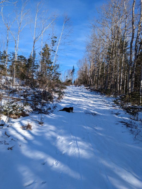 PXL_20230108_153537869.jpg