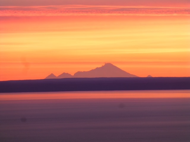 CA46FDFC-9D37-4F71-A4AD-F1B43A488292.jpeg